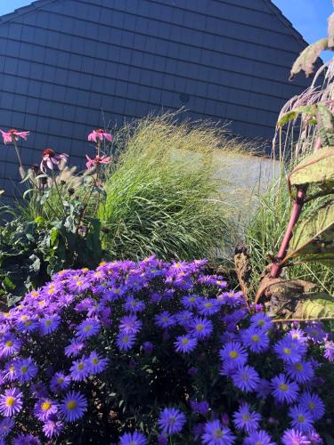 Фотография гостевого дома Dom na Wysoczyźnie Elbląskiej