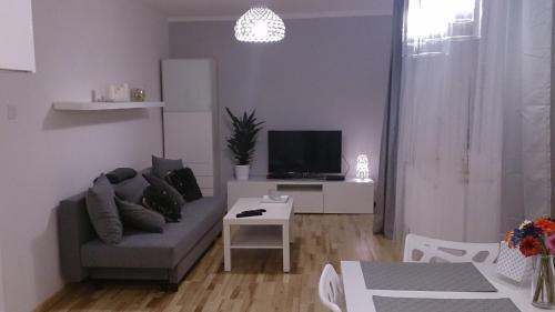 Фотография квартиры 1 Bedroom City Center Apartment