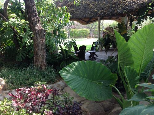 Фотография гостевого дома Lynns Guest House