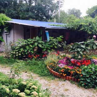 Фотография гостиницы Зеленый дворик