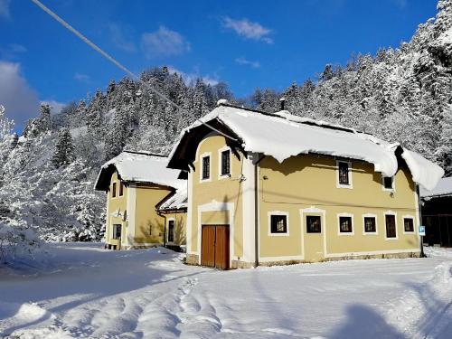 Фотография хостела Penzion Black Sheeps Adventures