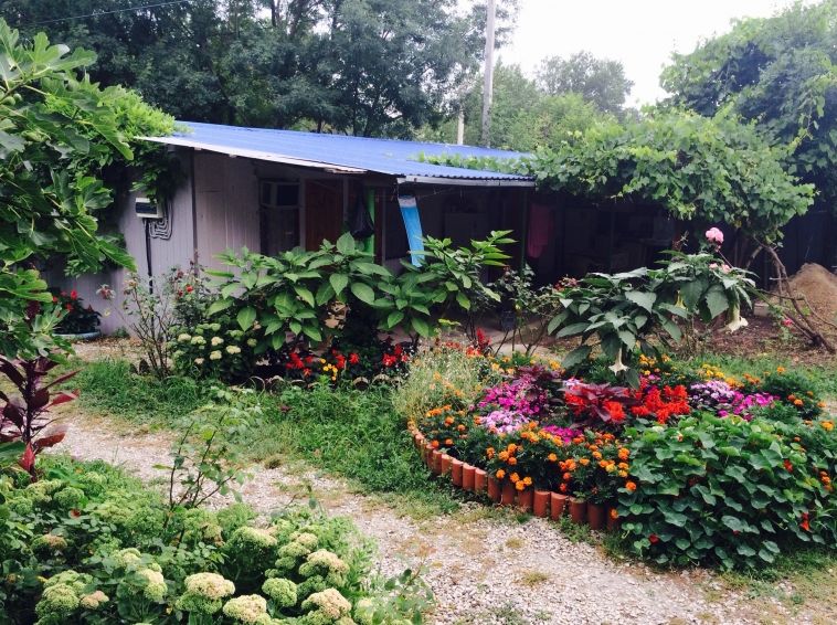 Фотография гостиницы Зеленый дворик