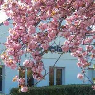 Фотографии гостиницы 
            Campanile Reims Est - Taissy