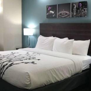 Фотографии гостиницы
Sleep Inn