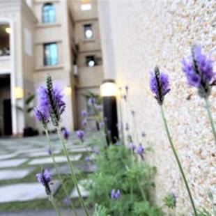 Фотографии мини отеля 
            East Coast