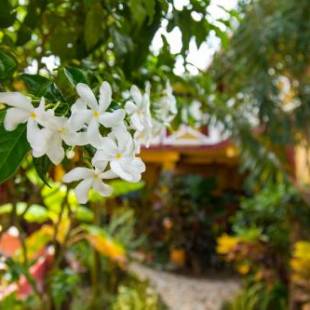 Фотография гостиницы Hotel BAHÍA