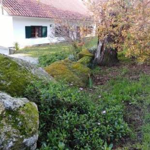 Фотографии гостевого дома
Quinta Souto da Ordem - House