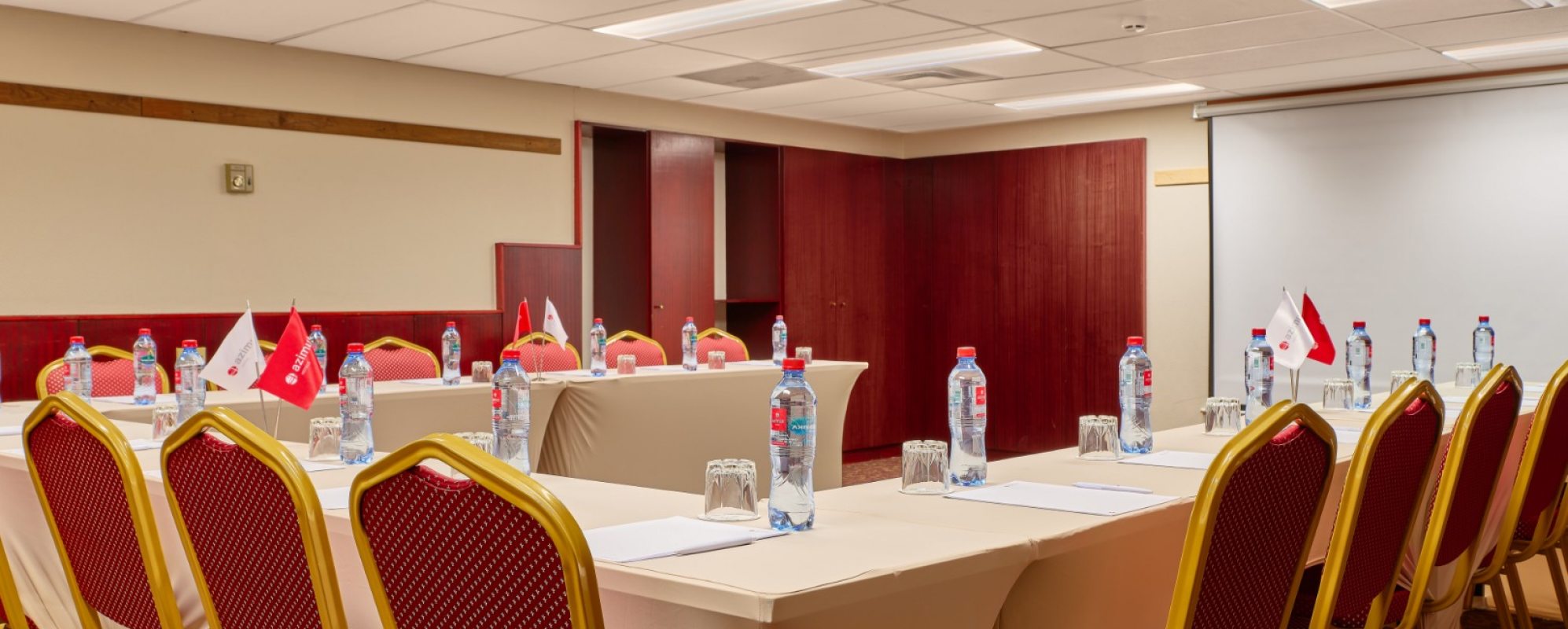 Фотографии конференц-зала Толмачево