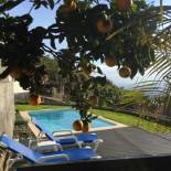 Фотография гостевого дома Villa Atlantis