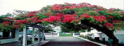 Фотографии мини отеля
Pousada Recanto Belas Artes