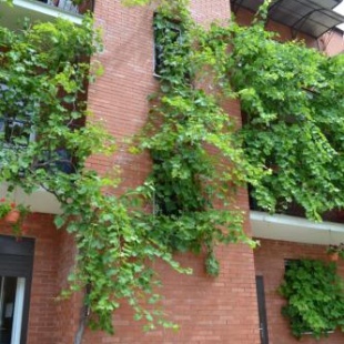 Фотография гостевого дома На Фабрициуса 4/2