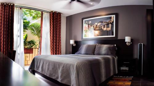 Фотография мини отеля The Red Tree House