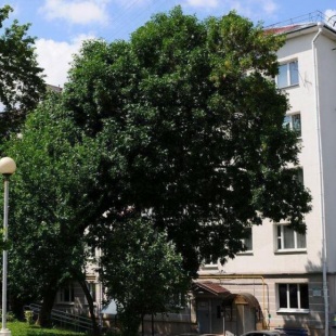 Фотография квартиры Апартаменты на улице Мясникова 17