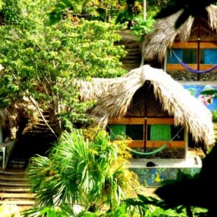 Фотография гостевого дома Ave de Montaña Cabañas