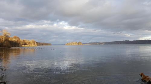 Фотография гостевого дома Gasthof - Hotel zur Post