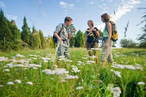 Фотография гостевого дома Nengshof Ferienhäuser Sonnenblume und Heublume