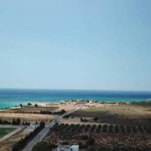 Фотографии гостевого дома
Notos Villas