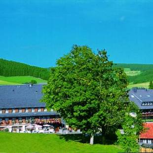 Фотографии гостиницы 
            Hotel Zum Löwen - Unteres Wirtshaus