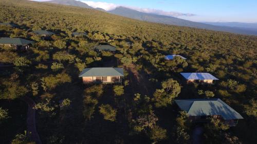 Фотография базы отдыха Ngorongoro Wild Camp