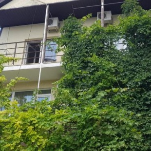 Фотография гостевого дома Красная 21