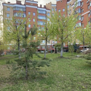 Фотография квартиры Апартаменты Зинина Возле УРАМ и Набережной