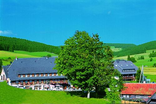 Фотография гостиницы Hotel Zum Löwen - Unteres Wirtshaus