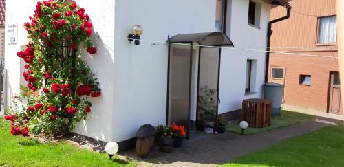 Фотографии гостевого дома 
            Holiday Home Uckeritz - Seebad 1