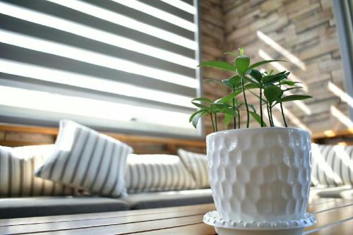 Фотография мини отеля The Green Mile Field B&B