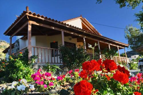 Фотографии гостевого дома
Villa Sofita