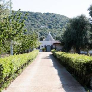 Фотографии мини отеля
B&B La Collina Degli Ulivi