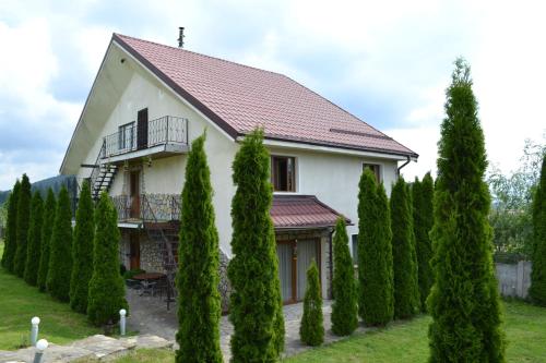 Фотография мини отеля Casa Carpati