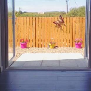 Фотографии гостевого дома
Casa Tara