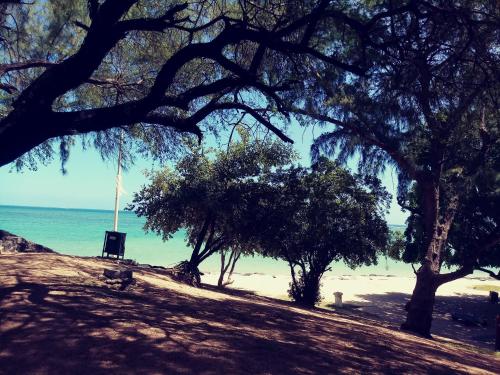 Фотография гостевого дома Les Villas Thorel