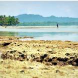 Фотография гостиницы Sonora Jungle & Yoga Retreat