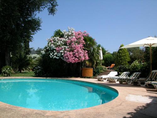 Фотография мини отеля L'Amandari