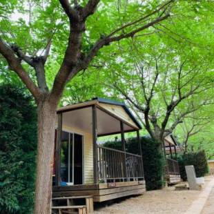 Фотографии кемпинга
Camping Oliana