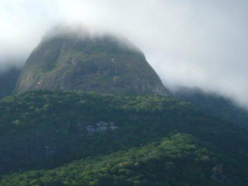 Фотография гостиницы Lavender Garden Hotel