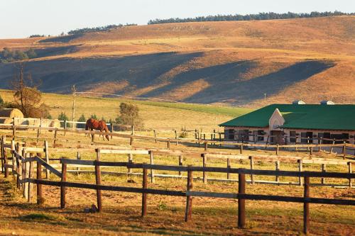 Фотография гостиницы First Group Midlands Saddle and Trout