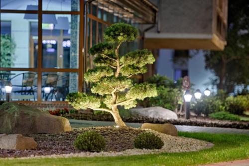 Фотография гостиницы Gradiali Wellness and SPA