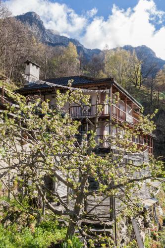 Фотография мини отеля Bed and Breakfast da Toldo