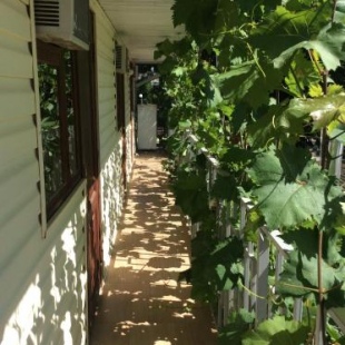 Фотография гостевого дома Гостевой дом Лана