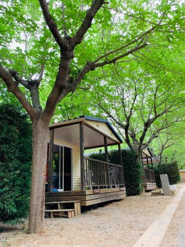 Фотография кемпинга Camping Oliana