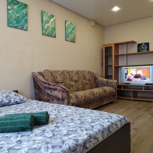 Фотография квартиры Квартира однокомнатная Лесопарковая 93/1