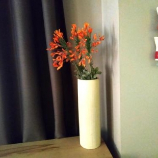 Фотография гостевого дома Parnassiko Guest House