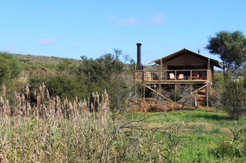 Фотография базы отдыха AfriCamps at Kam'Bati