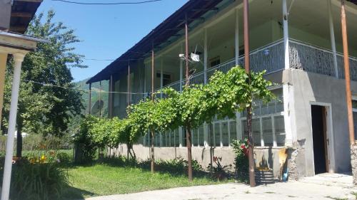 Фотография мини отеля Golden Mountain House