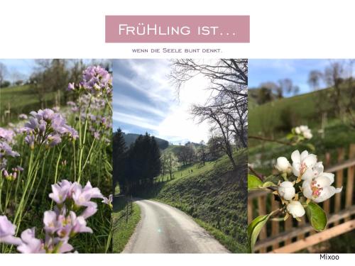 Фотография гостевого дома Ferienhaus Großalber