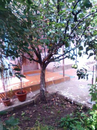 Фотография гостевого дома Уют