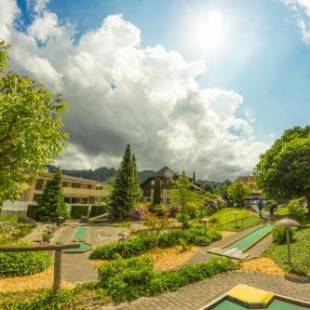 Фотографии гостиницы
Hirschen Eggiwil