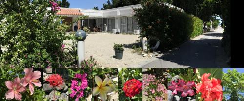 Фотографии мини отеля
Minshuku Irayoi